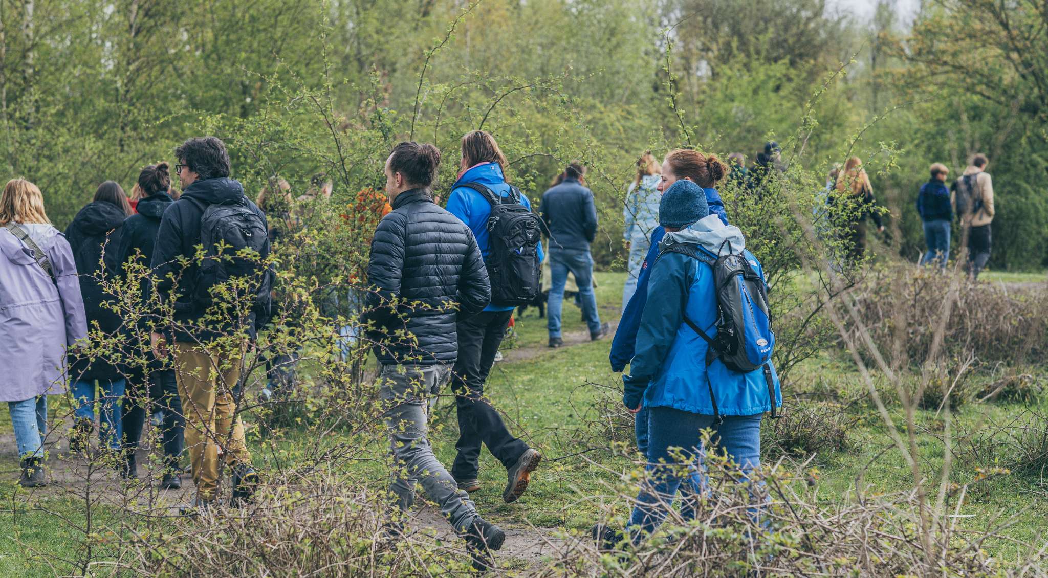 Twee beelden: mist trekt door een rotsachtig berglandschap; koe staat in een weide met bomen.