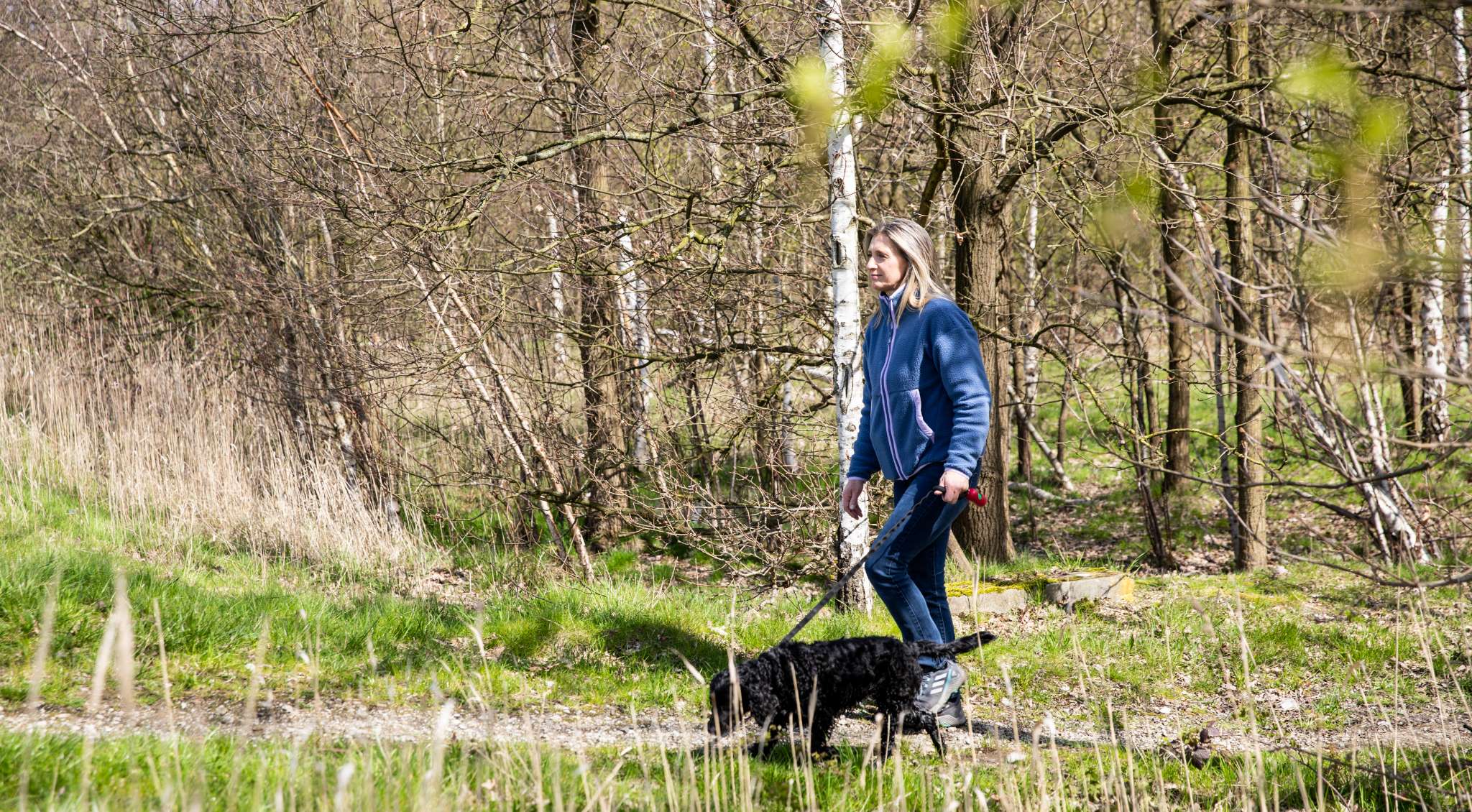 Twee beelden: mist trekt door een rotsachtig berglandschap; koe staat in een weide met bomen.
