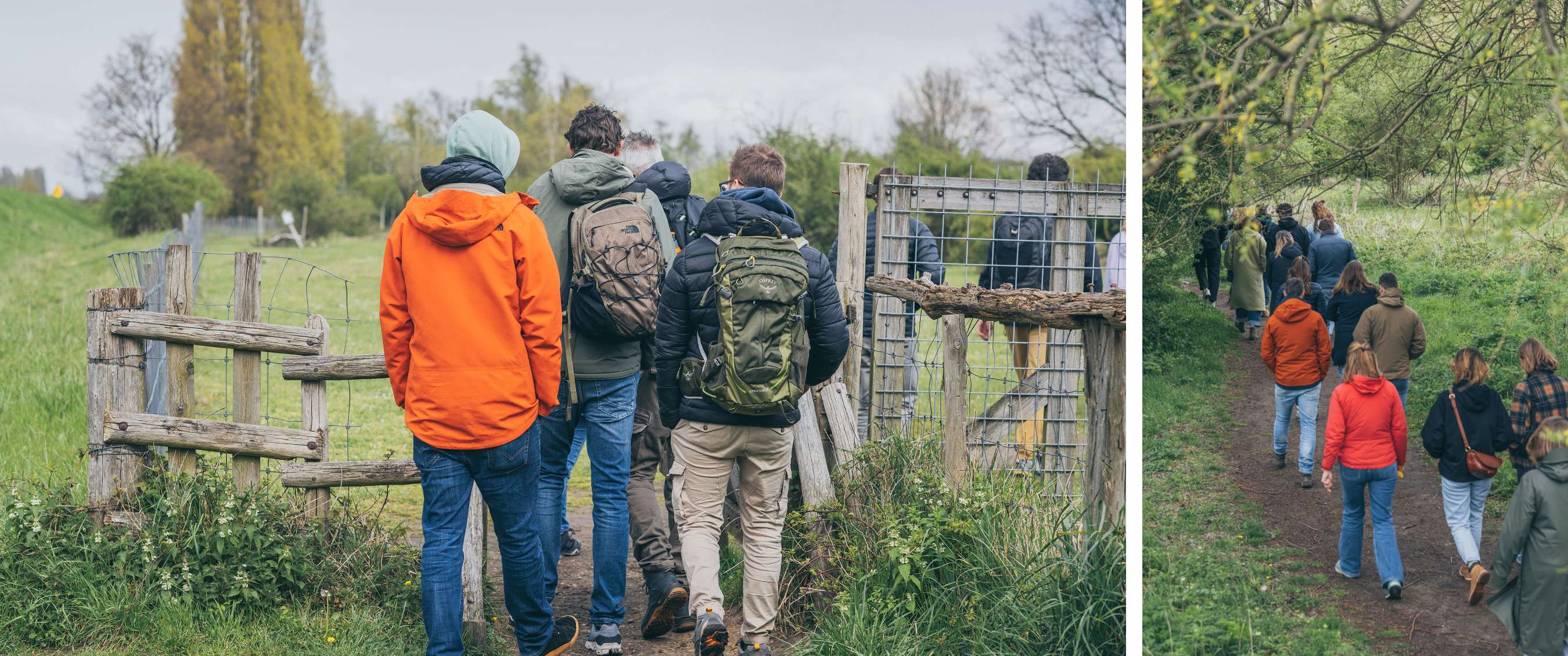 Twee beelden: mist trekt door een rotsachtig berglandschap; koe staat in een weide met bomen.
