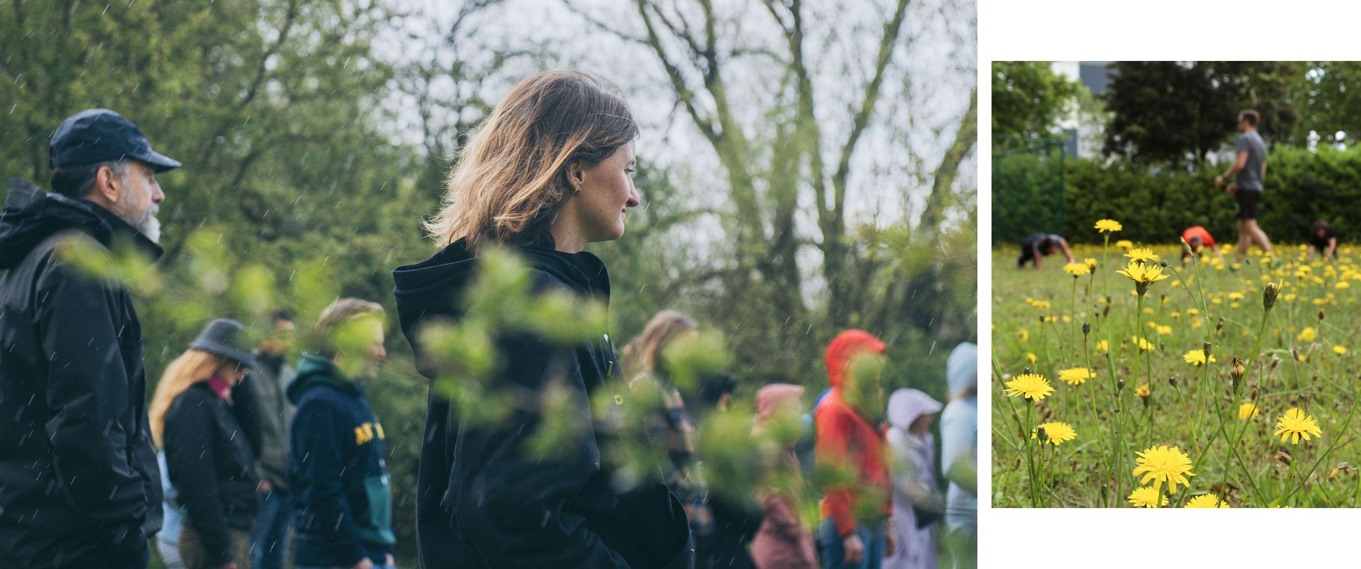Twee beelden: mist trekt door een rotsachtig berglandschap; koe staat in een weide met bomen.