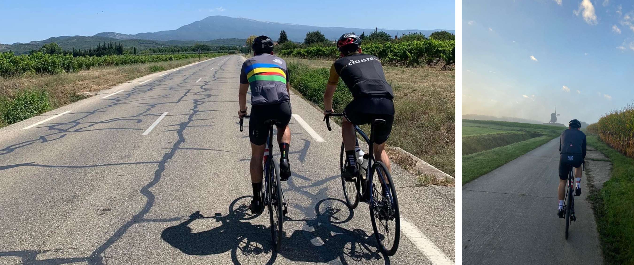 Twee beelden: mist trekt door een rotsachtig berglandschap; koe staat in een weide met bomen.