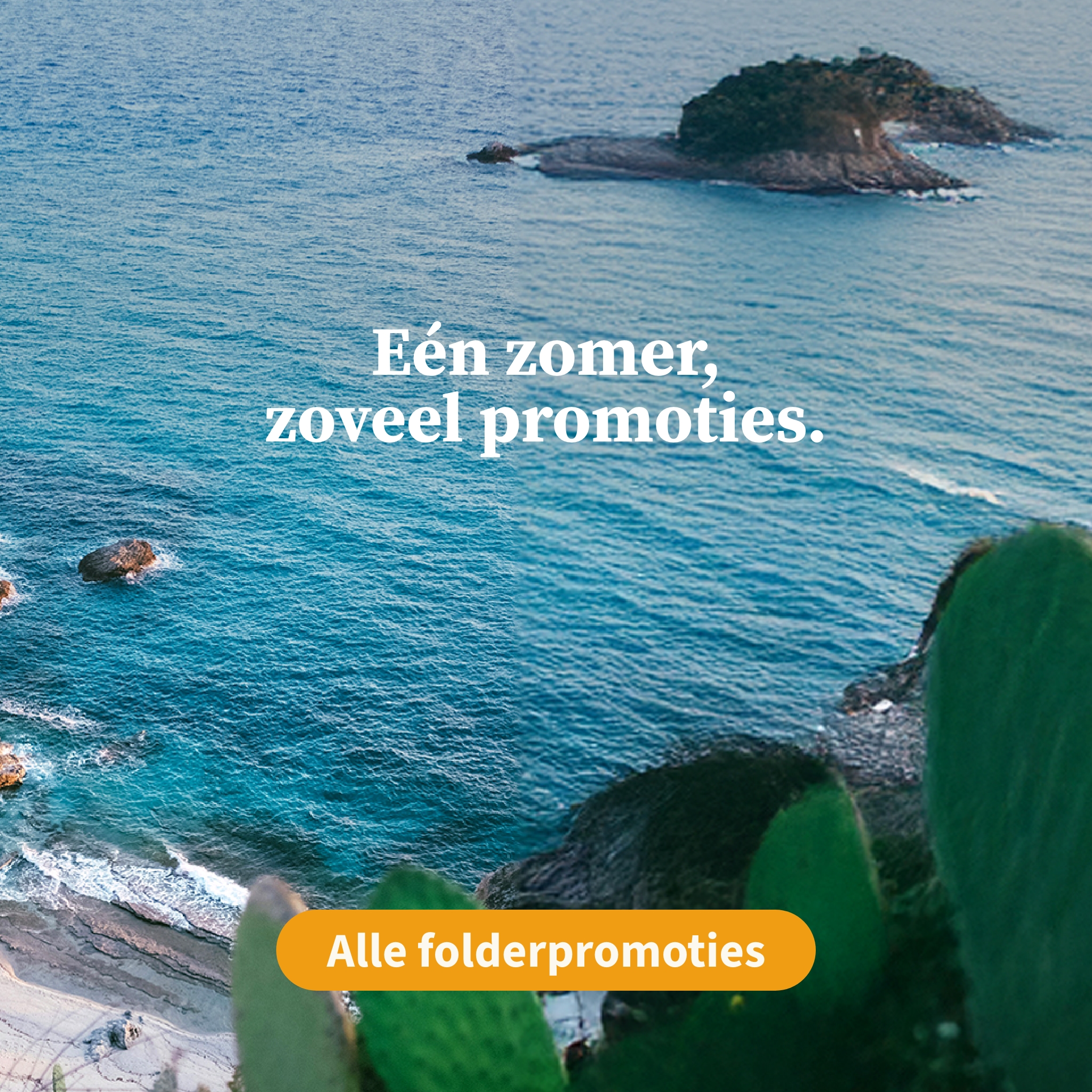 Alle zomerpromo's 
